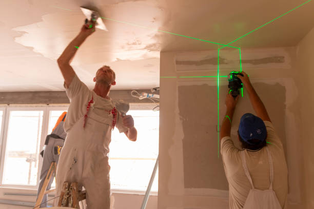 Best Ceiling Drywall Installation  in Felton, CA